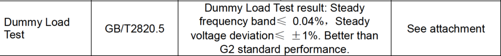 Dummy Load Test Report